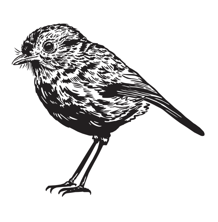 Karure Black Robin Luggage Tag