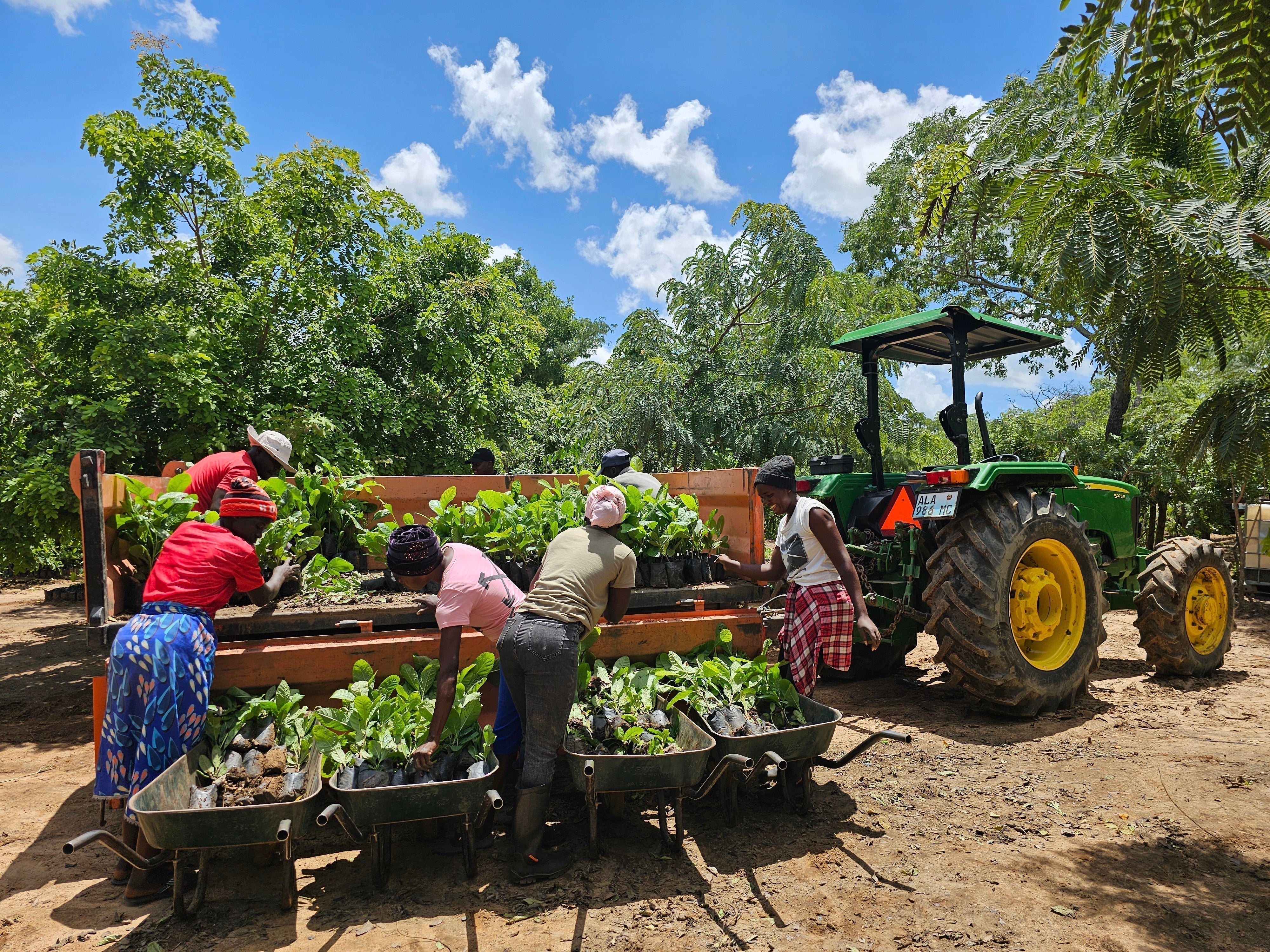 Our Commitment to Landscape Restoration