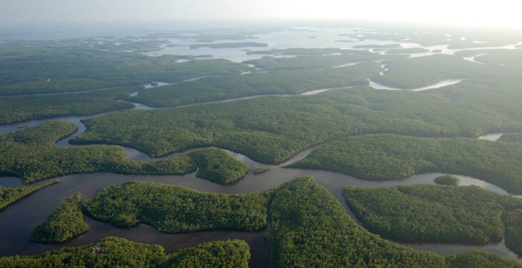 What does Climate Positive mean?